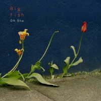 王舟／Ｂｉｇ　ｆｉｓｈ