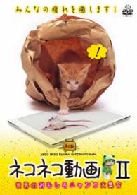 ネコネコ動画Ⅱ～世界のおもしろニャンコ大集合～