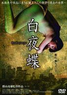 白夜蝶