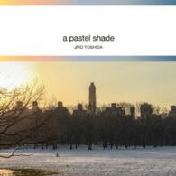 吉田次郎／パステル・シェイド