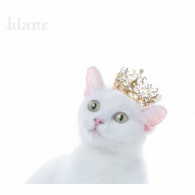 Ａｉｍｅｒ／ＢＥＳＴ　ＳＥＬＥＣＴＩＯＮ“ｂｌａｎｃ”（初回生産限定盤Ａ）