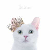 Ａｉｍｅｒ／ＢＥＳＴ　ＳＥＬＥＣＴＩＯＮ“ｂｌａｎｃ”