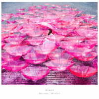 Ａｉｍｅｒ／Ｒｅｆ：ｒａｉｎ／眩いばかり