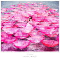 Ａｉｍｅｒ／Ｒｅｆ：ｒａｉｎ／眩いばかり（初回生産限定盤）