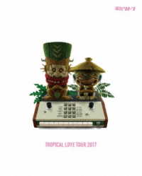 電気グルーヴ／ＴＲＯＰＩＣＡＬ　ＬＯＶＥ　ＴＯＵＲ　２０１７（初回生産限定盤） Ｂｌｕ－ｒａｙ　Ｄｉｓｃ