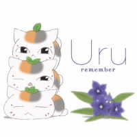 Ｕｒｕ／ｒｅｍｅｍｂｅｒ（期間生産限定盤）