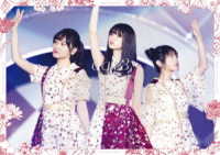 乃木坂４６／７ｔｈ　ＹＥＡＲ　ＢＩＲＴＨＤＡＹ　ＬＩＶＥ　Ｄａｙ３ Ｂｌｕ－ｒａｙ　Ｄｉｓｃ