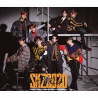 Ｓｔｒａｙ　Ｋｉｄｓ／ＳＫＺ２０２０（初回生産限定盤）