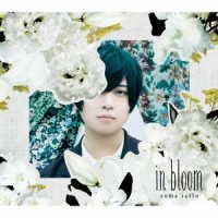 斉藤壮馬／ｉｎ　ｂｌｏｏｍ（ＰＨＯＴＯＢＯＯＫ盤／初回生産限定盤）