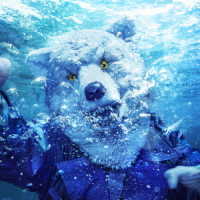 ＭＡＮ　ＷＩＴＨ　Ａ　ＭＩＳＳＩＯＮ／ＩＮＴＯ　ＴＨＥ　ＤＥＥＰ（初回生産限定盤）