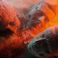 ミューズ／ウィル・オブ・ザ・ピープル（ジャパン・リミテッド・エディション）