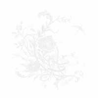 Ａｉｍｅｒ／白色蜉蝣