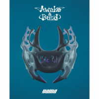 ｙａｍａ／ａｗａｋｅ＆ｂｕｉｌｄ（完全生産限定盤）