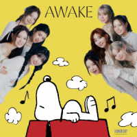 ＮｉｚｉＵ／ＡＷＡＫＥ（期間生産限定盤）