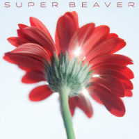 ＳＵＰＥＲ　ＢＥＡＶＥＲ／片想い／涙の正体（初回生産限定盤Ａ）