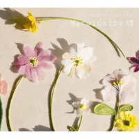 高木正勝／マージナリアⅧ