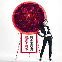 野宮真貴／３０　－Ｇｒｅａｔｅｓｔ　Ｓｅｌｆ　Ｃｏｖｅｒｓ　＆　Ｍｏｒｅ！！！－