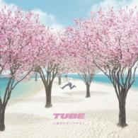 ＴＵＢＥ／いまさらサーフサイド（初回生産限定盤）