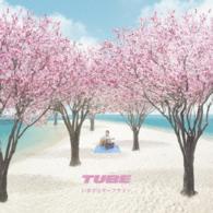 ＴＵＢＥ／いまさらサーフサイド