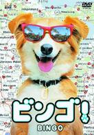ビンゴ！