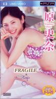 Ｆｒａｇｉｌｅ　＆　Ｓｔｏｐ　Ｏｖｅｒ ＵＭＤ　Ｖｉｄｅｏ
