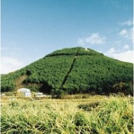 奥田民生／股旅【完全生産限定盤／紙ジャケット仕様】