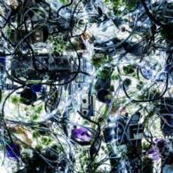 Ａｉｍｅｒ　ｗｉｔｈ　ｃｈｅｌｌｙ（ＥＧＯＩＳＴ）／ｎｉｎｅｌｉｅ　ＥＰ（初回生産限定盤）