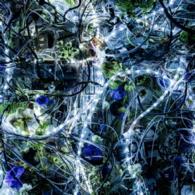 Ａｉｍｅｒ　ｗｉｔｈ　ｃｈｅｌｌｙ（ＥＧＯＩＳＴ）／ｎｉｎｅｌｉｅ　ＥＰ