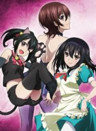 ストライク・ザ・ブラッド　第５巻〈初回生産限定版〉 Ｂｌｕ－ｒａｙ　Ｄｉｓｃ