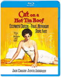 熱いトタン屋根の猫 Ｂｌｕ－ｒａｙ　Ｄｉｓｃ