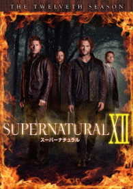 ＳＵＰＥＲＮＡＴＵＲＡＬ　ＸⅡ〈トゥエルブ・シーズン〉　ＤＶＤ　コンプリート・ボックス