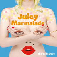 ＴＨＥ　ＣＯＬＬＥＣＴＯＲＳ／ジューシーマーマレード