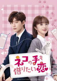 ネコの手も借りたい恋　ＤＶＤ－ＳＥＴ２