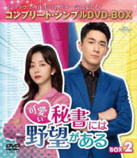 可愛い秘書には野望がある　ＢＯＸ２＜コンプリート・シンプルＤＶＤ‐ＢＯＸ５，５００円シリーズ＞【期間限定生産】