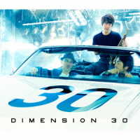 ＤＩＭＥＮＳＩＯＮ／３０