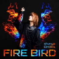 大平峻也／ＦＩＲＥ　ＢＩＲＤ