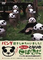 となりのこぱんだ　パンダ抱きしめちゃいました　～パンダに会える方法教えます～