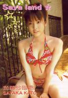 加藤沙耶香　Ｓａｙａ　ｌａｎｄ　☆