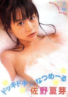 佐野夏芽　ドッキドキ☆なつめーる
