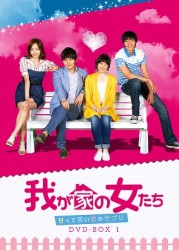 我が家の女たち～甘くて苦い恋のサプリ～　ＤＶＤ－ＢＯＸ　１