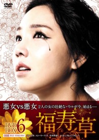 福寿草　ＤＶＤ－ＢＯＸ６