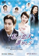 私の恋人、誰かしら　ＤＶＤ－ＢＯＸ　５