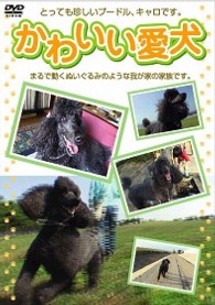 かわいい愛犬