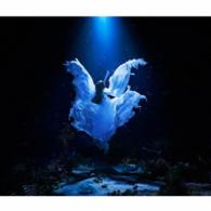 Ａｉｍｅｒ／誰か、海を。　ＥＰ