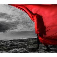 Ａｉｍｅｒ／Ｂｒａｖｅ　Ｓｈｉｎｅ（初回生産限定盤）