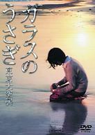 ガラスのうさぎ
