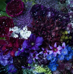 Ａｉｍｅｒ／あなたに出会わなければ～夏雪冬花～／星屑ビーナス（初回生産限定盤）【初回生産限定盤／ＤＶＤ付き】