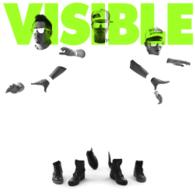 Ｆｕｌｌ　Ｏｆ　Ｈａｒｍｏｎｙ／ＶＩＳＩＢＬＥ