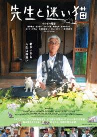 先生と迷い猫　ＤＶＤ　豪華版