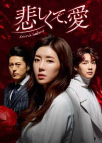 悲しくて、愛　ＤＶＤ－ＢＯＸ３